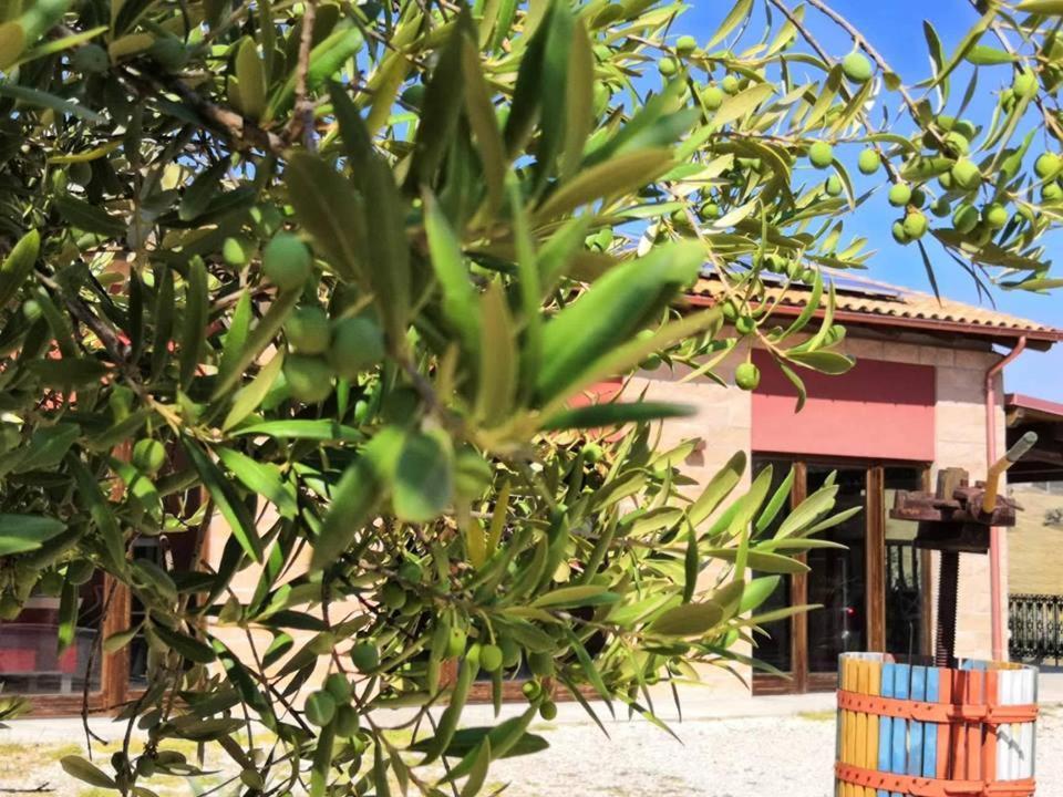 Country House Torrenera Morro d'Oro Luaran gambar